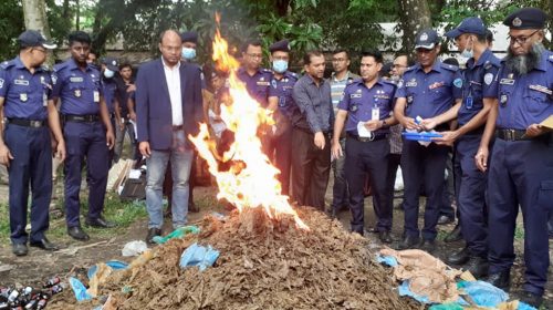 চাঁদপুর জেলা পুলিশের বিভিন্ন অভিযানে উদ্ধারকৃত অবৈধ মাদকদ্রব্য আগুনে পুড়িয়ে ধ্বংস করা হয়েছে