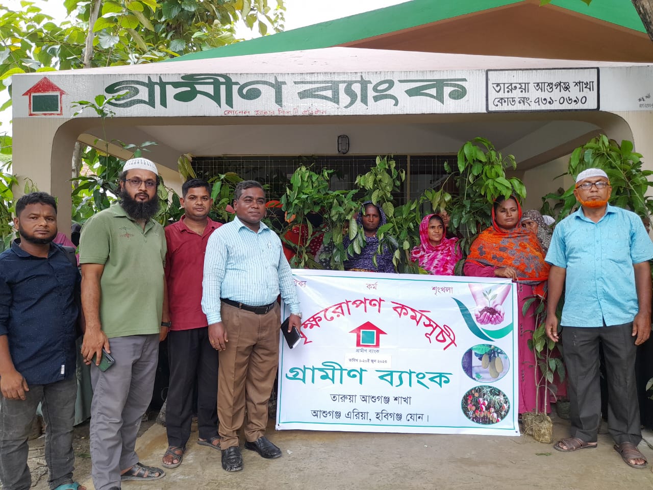 গ্রামীণ ব্যাংক আশুগঞ্জ এরিয়ায় লক্ষাধীক গাছের চারা বিতরণ