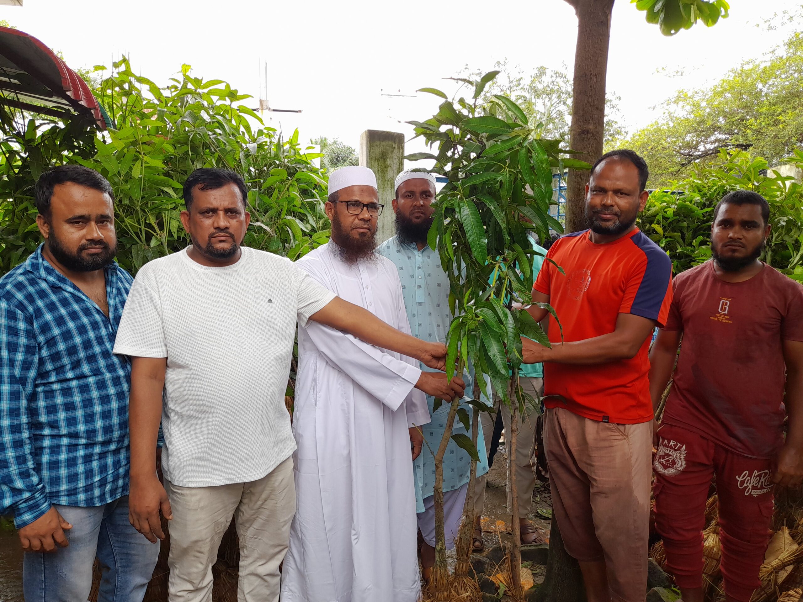 আশুগঞ্জে চরচারতলা গ্রামে এক হাজার গাছের চারা বিতরণ