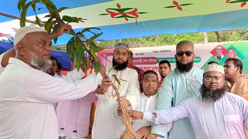 আশুগঞ্জে ২০ হাজার ফলজ গাছের চারা বিতরণের উদ্যোগ নিয়েছেন-মো: এনামুল হক