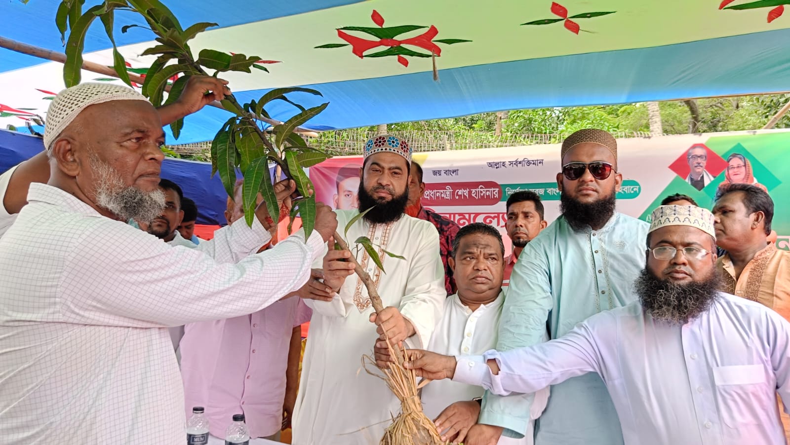 আশুগঞ্জে ২০ হাজার ফলজ গাছের চারা বিতরণের উদ্যোগ নিয়েছেন-মো: এনামুল হক