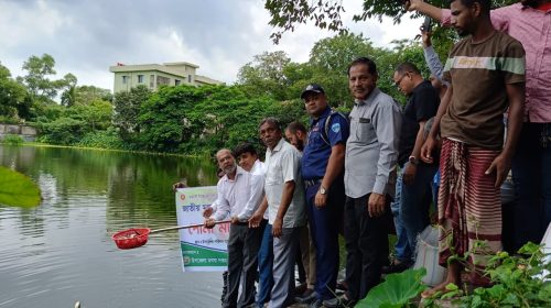 আশুগঞ্জে সপ্তাহব্যাপী জাতীয় মৎস্য সপ্তাহের উদ্বোধন